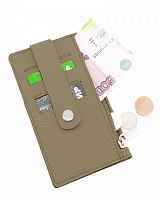 ВВ008-24551 Картхолдер